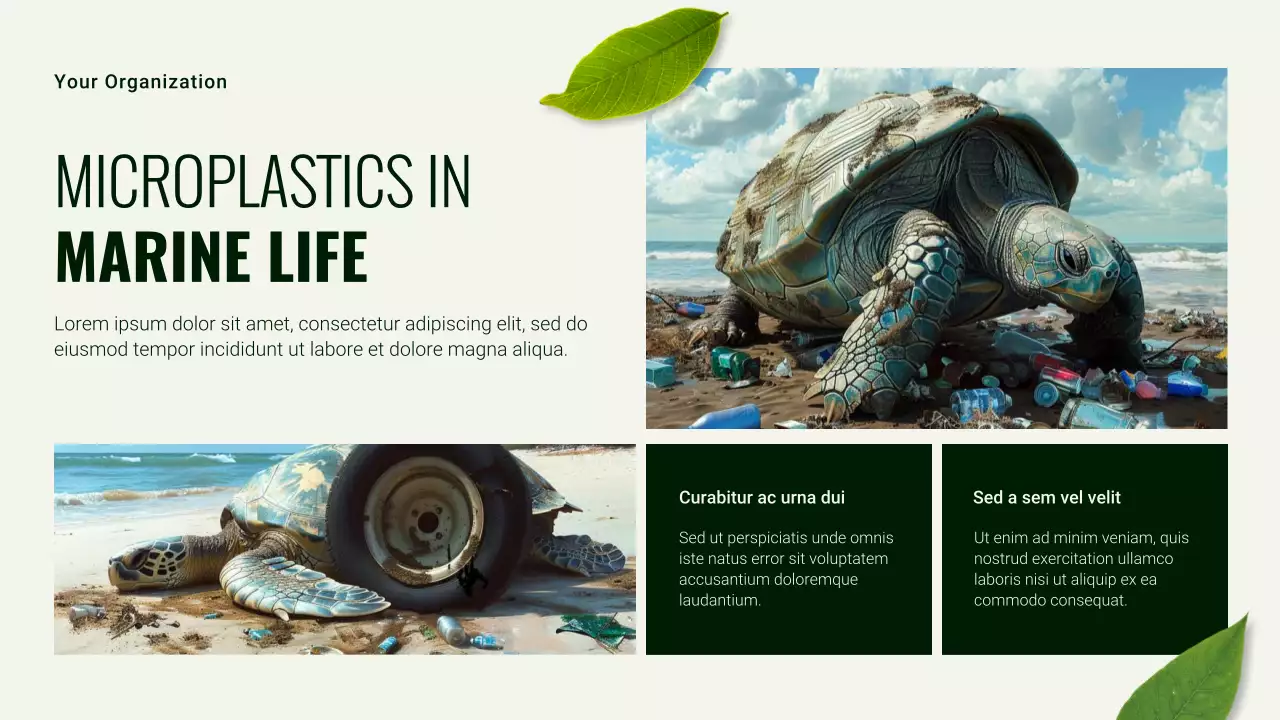 Green and White Modern Sustainability Earth Day Presentation