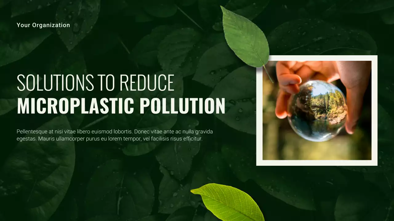 Green and White Modern Sustainability Earth Day Presentation