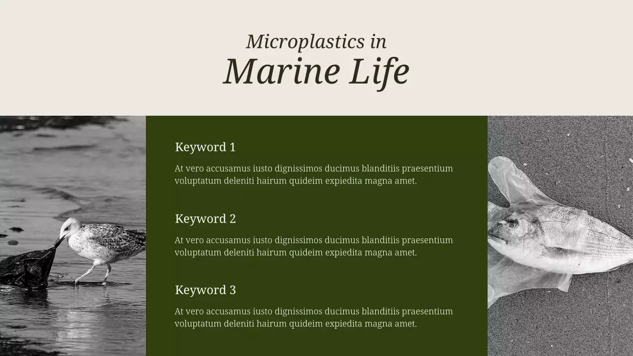 Minimal Trendy and Elegant Waste Management Presentation