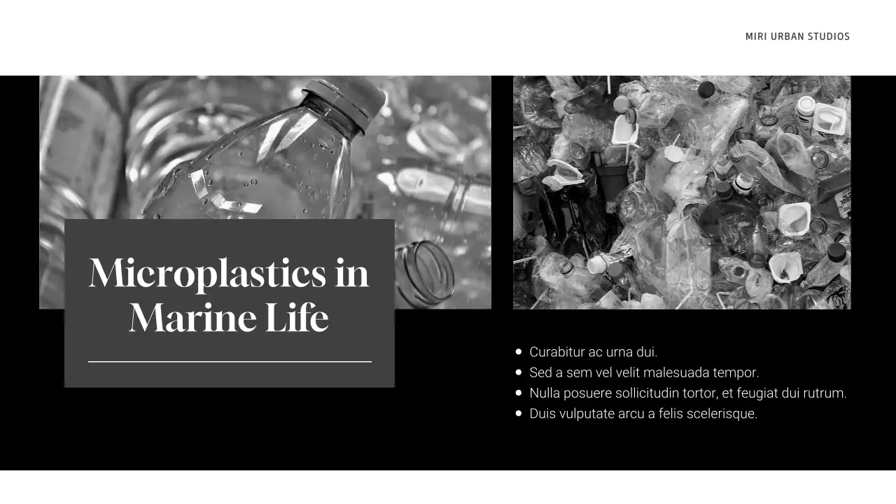 Grey Minimal Waste Management Presentation