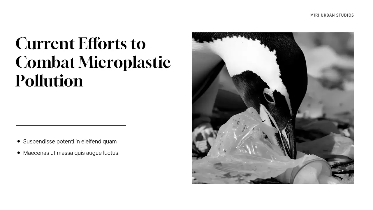 Grey Minimal Waste Management Presentation