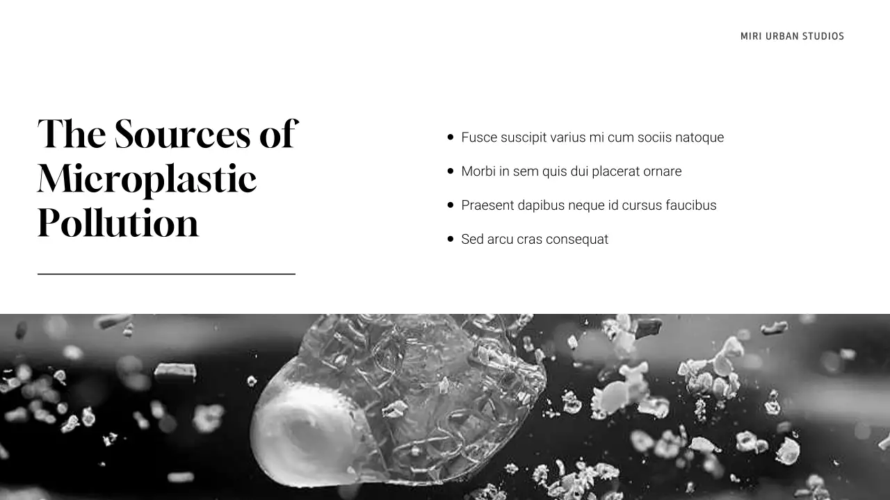 Grey Minimal Waste Management Presentation