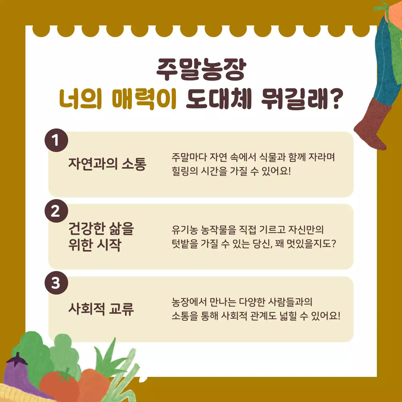 카키 아기자기한 농장 체험 모집