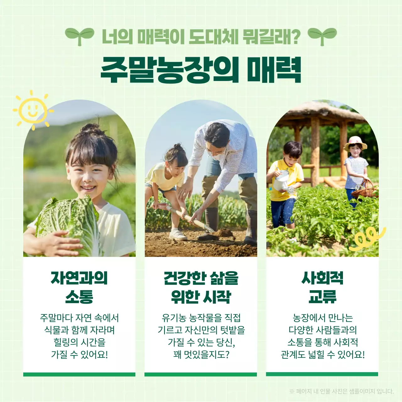 연두 아기자기한 주말농장 모집