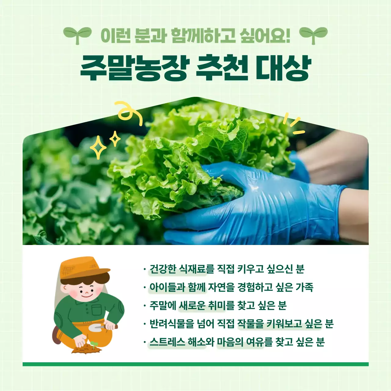연두 아기자기한 주말농장 모집