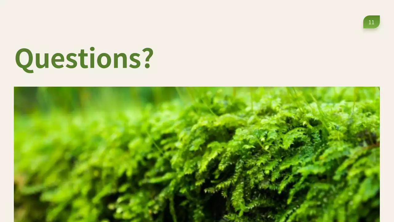 Green Modern Waste Management Presentation