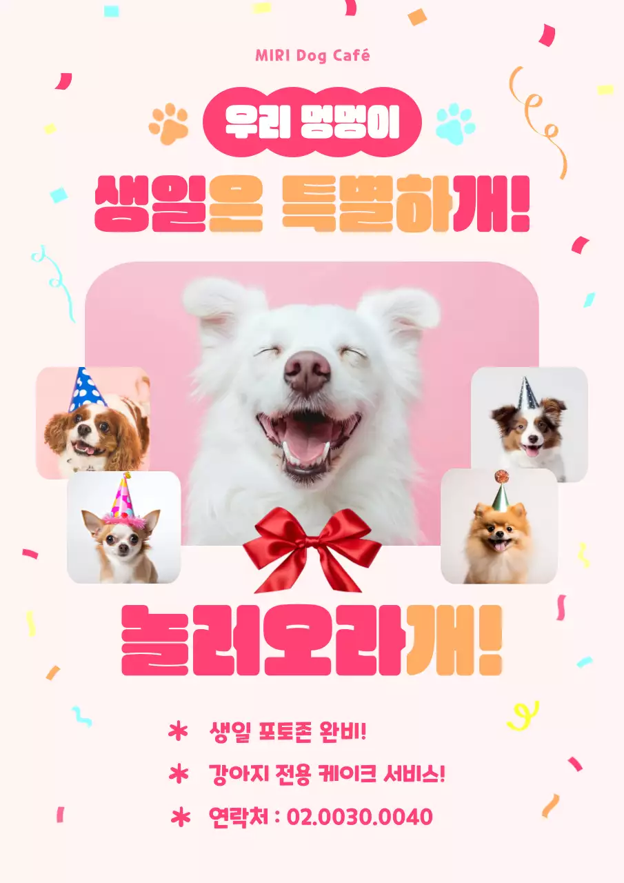 핑크 아기자기한 반려동물 행사