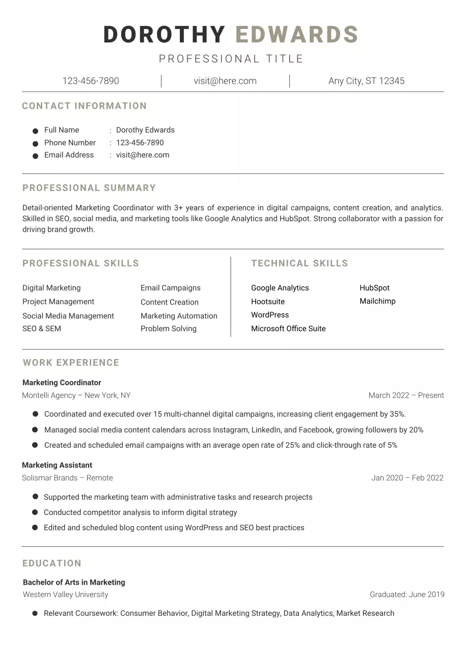 Grey Professional CV Resume Document