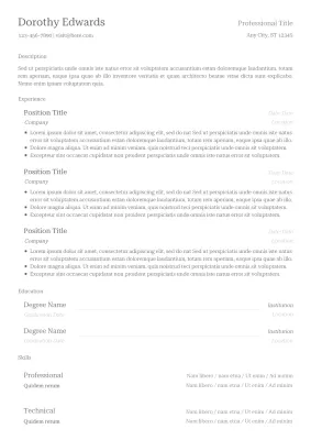 Professional and Classic CV