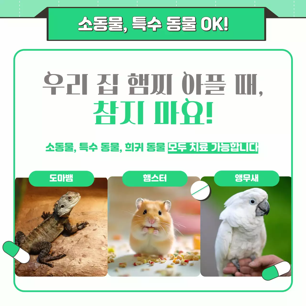 민트 아기자기한 동물병원 광고