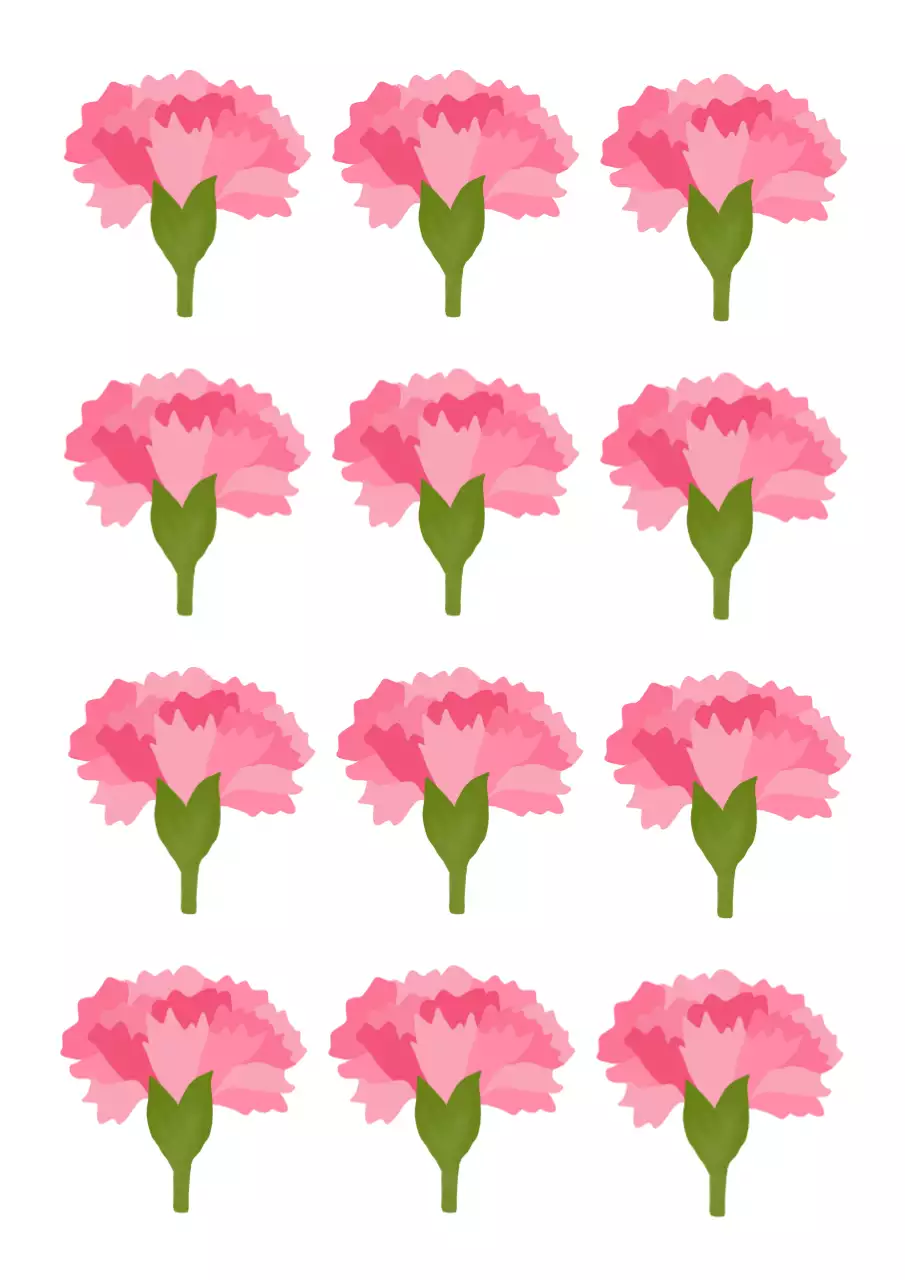 핑크 심플 카네이션 어버이날