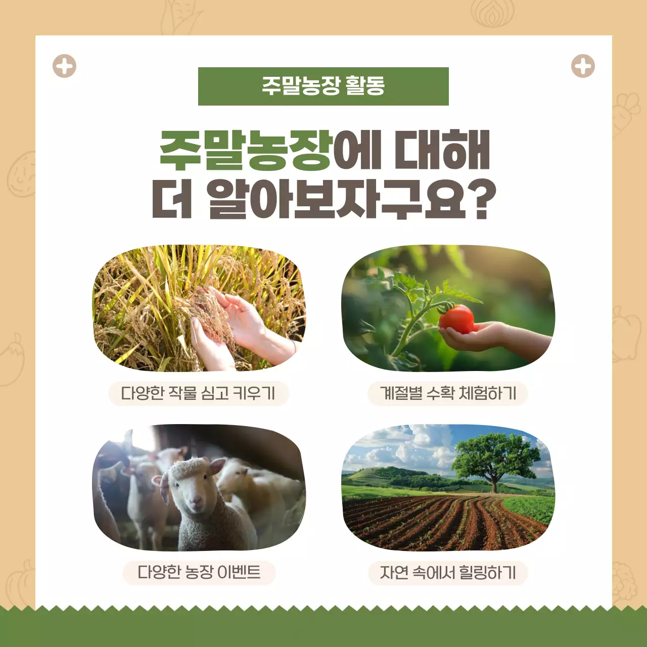 갈색 아기자기한 농장 모집 안내