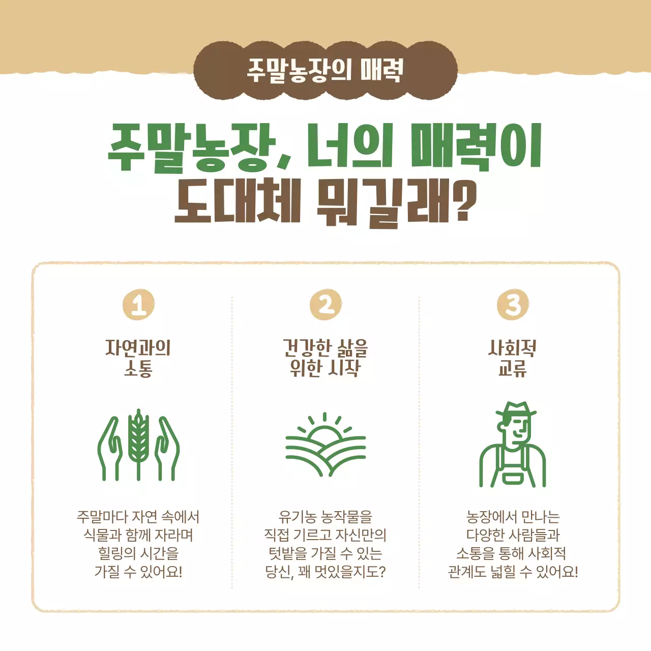 베이지 심플 농장 홍보