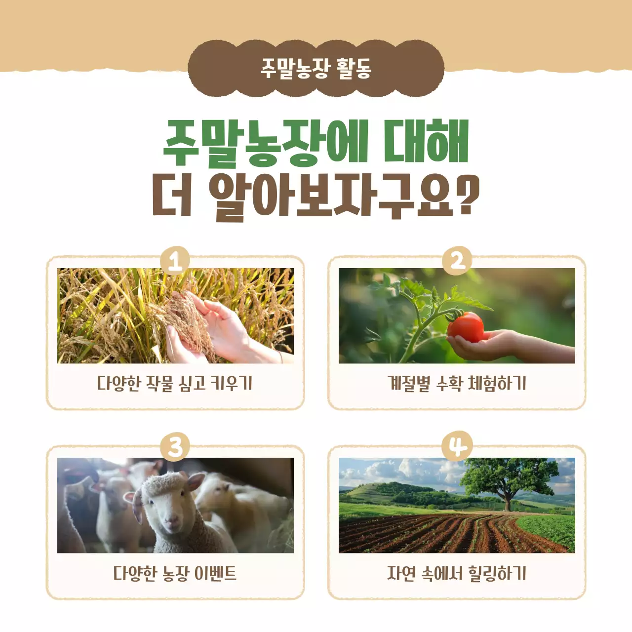 베이지 심플 농장 홍보