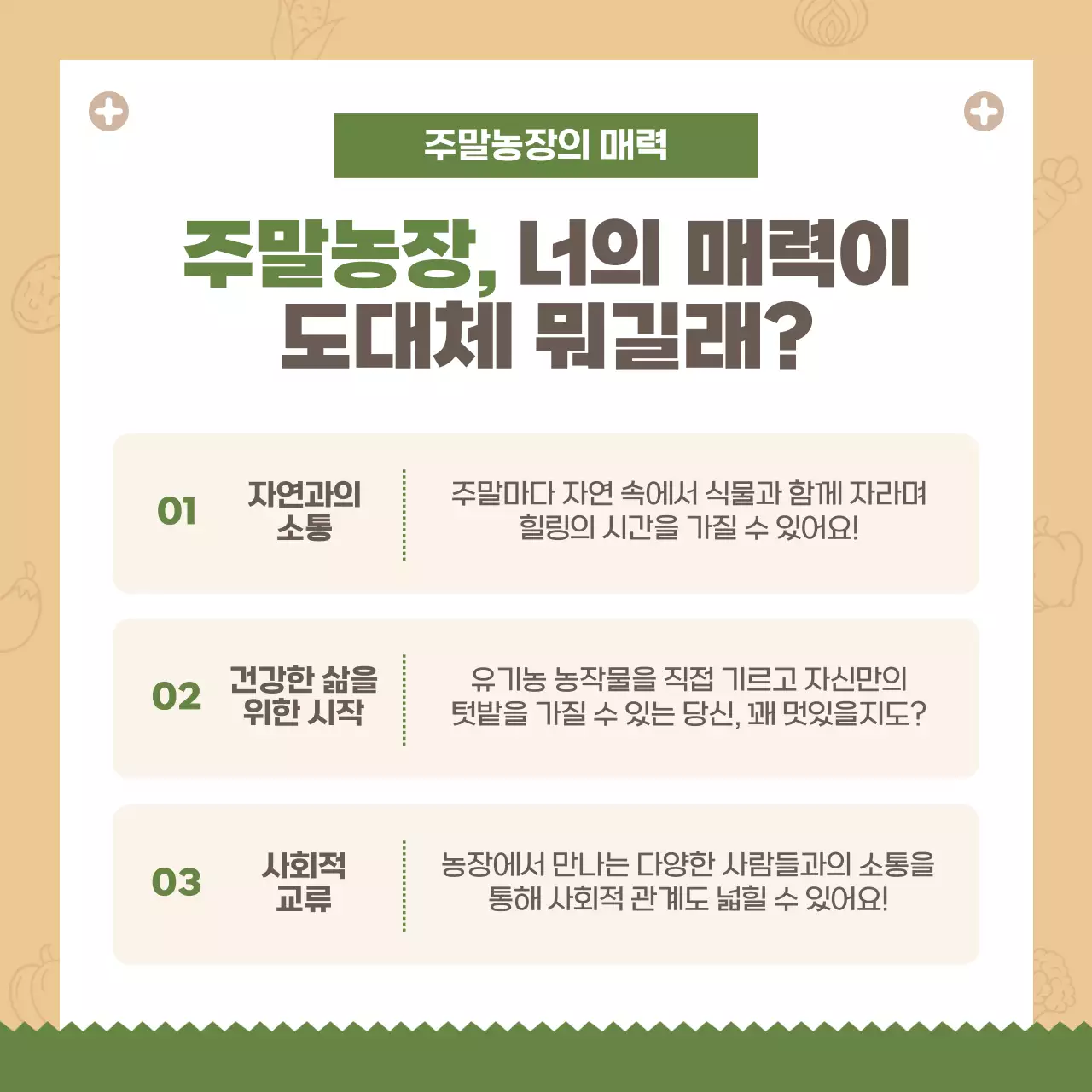 갈색 아기자기한 농장 모집 안내