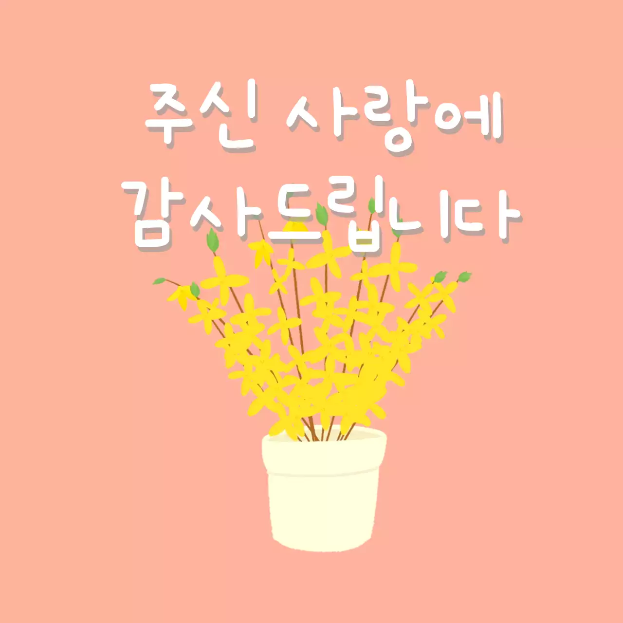 핑크 심플 감사 엽서