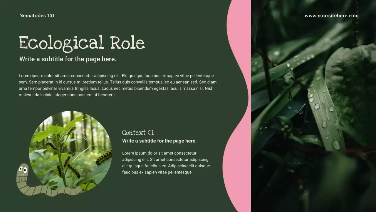 Pink Playful Biology Lecture Presentation