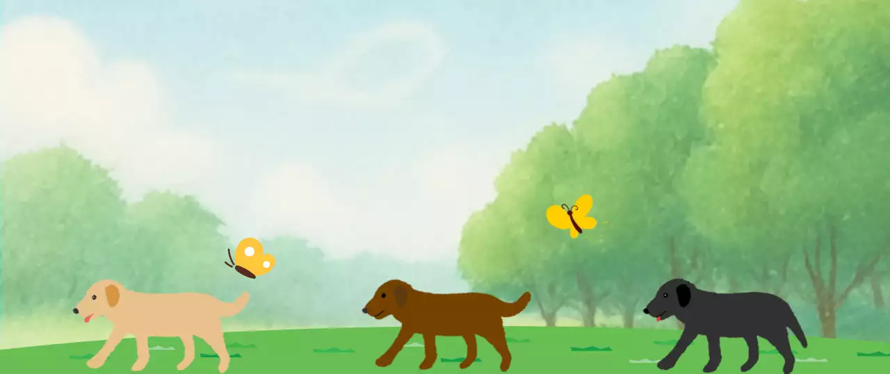 초록 아기자기한 자연 포토프레임