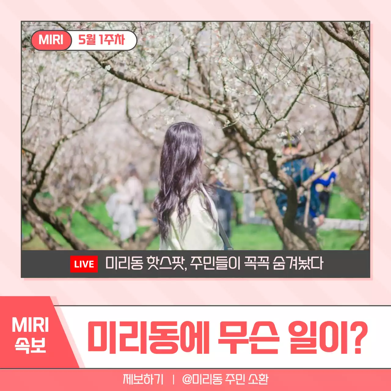 핑크 빈티지 봄날 이벤트