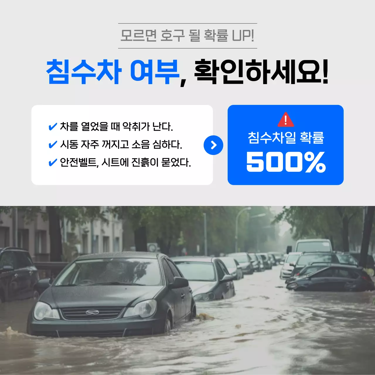 파랑 모던 자동차 구매 안내