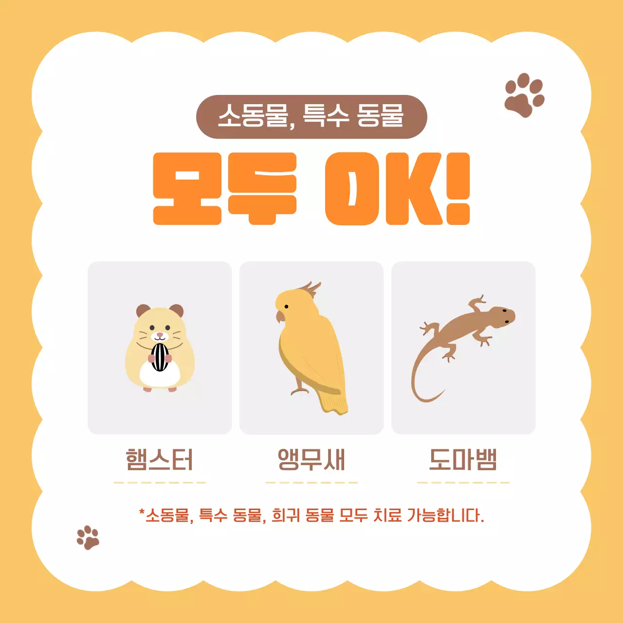 주황 심플 반려동물 홍보