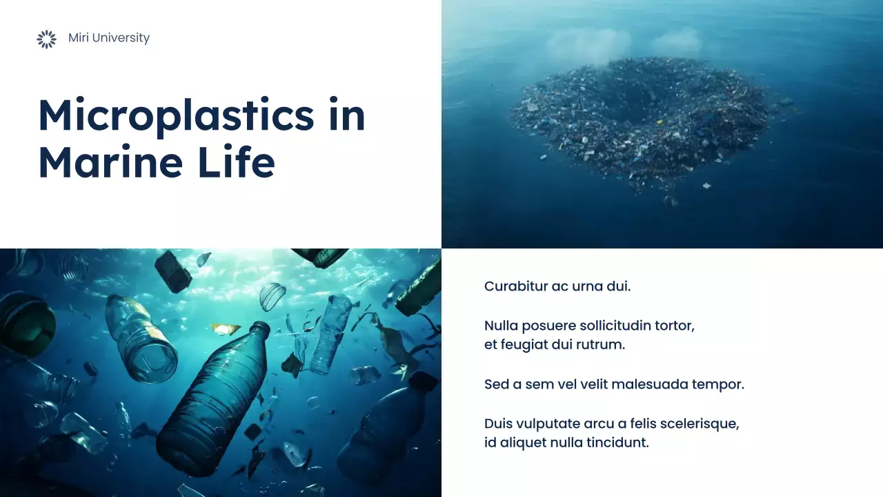 Blue Modern Environmental Lecture