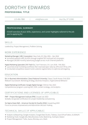 Green Professional Resume Document