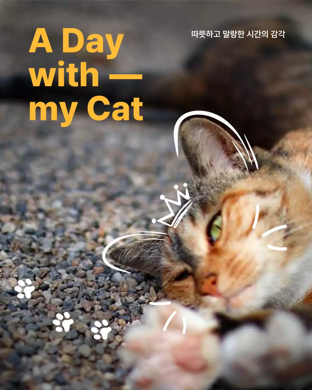 주황 아기자기한 반려동물 엽서