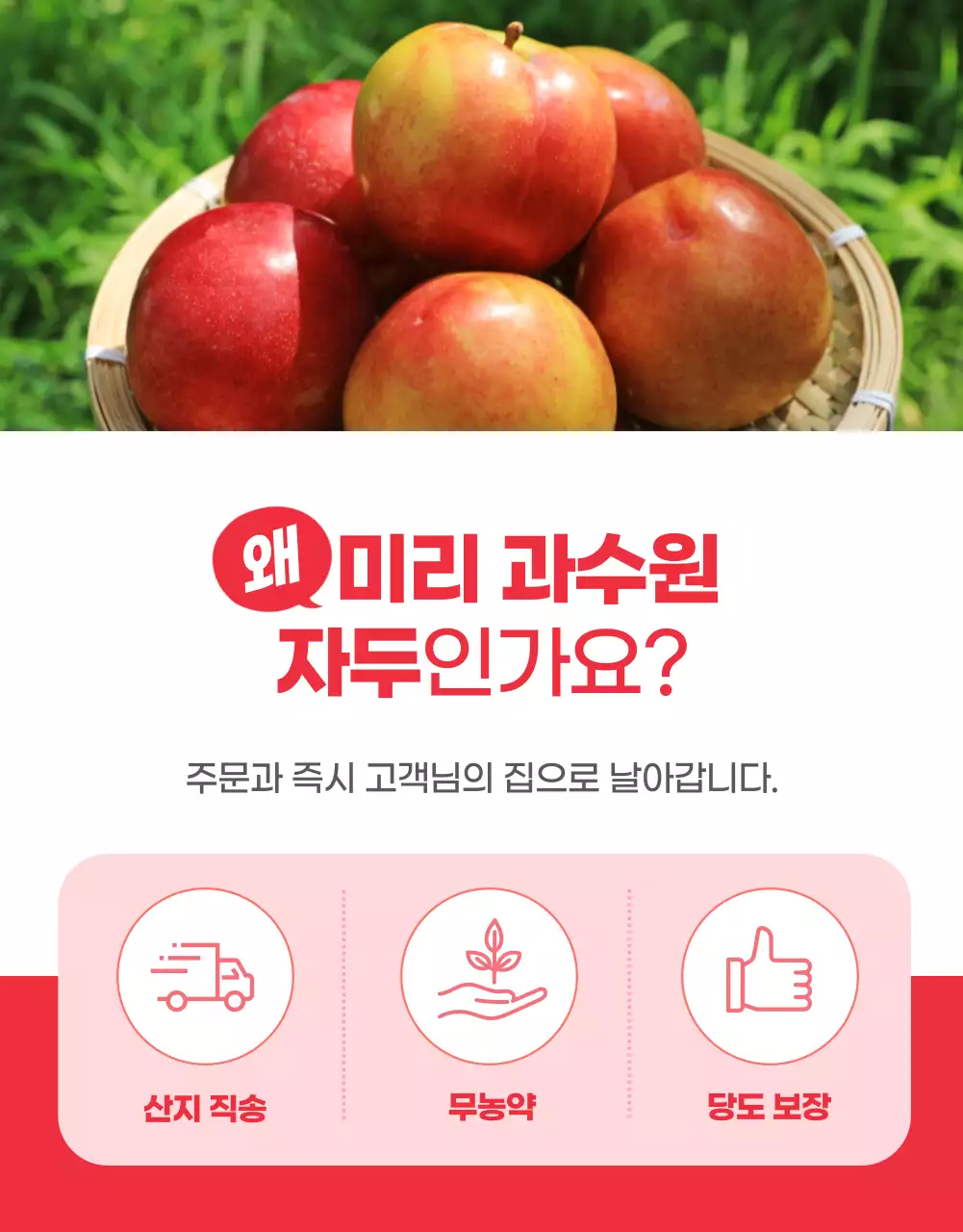 빨강 키치 과일 광고