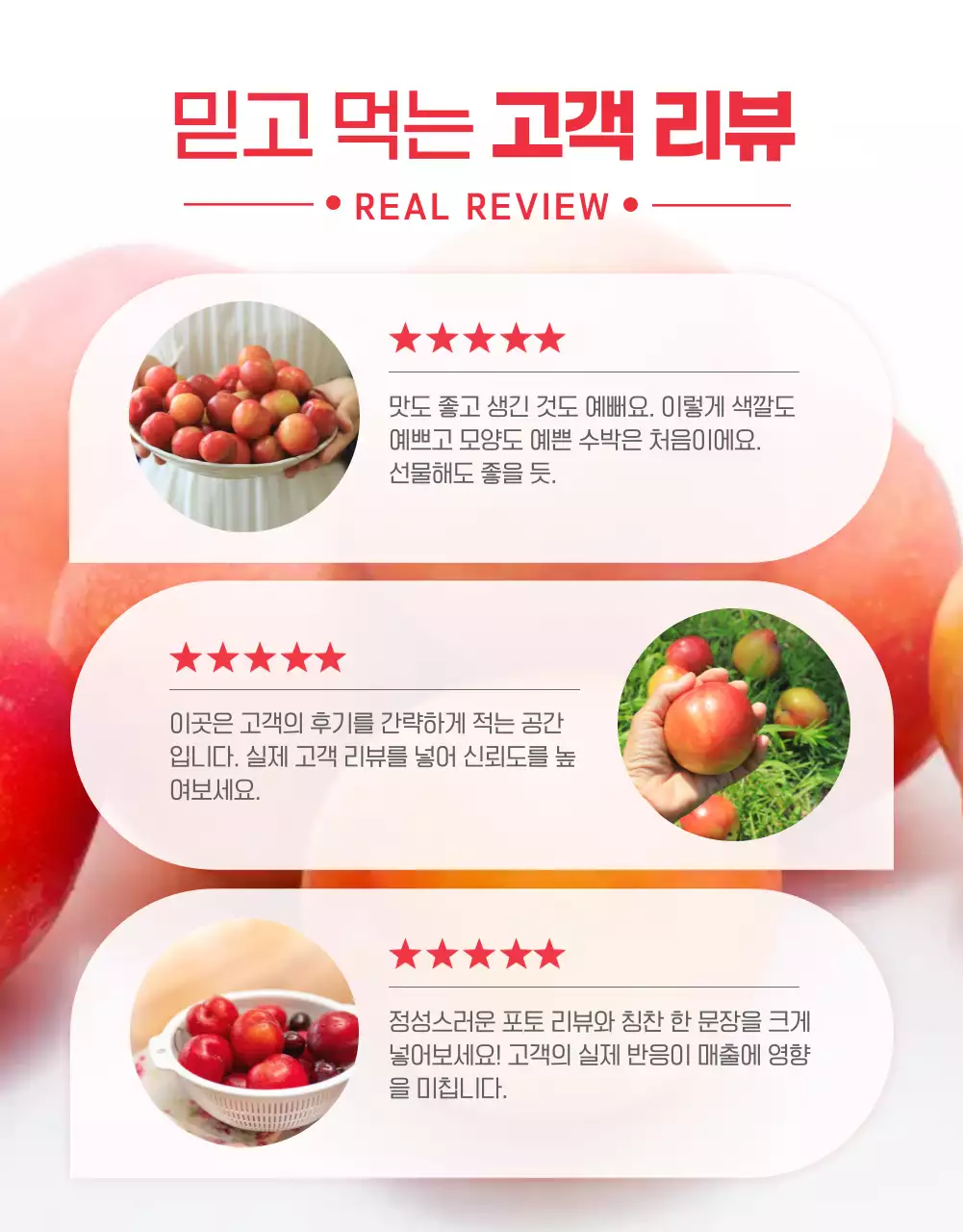 빨강 키치 과일 광고