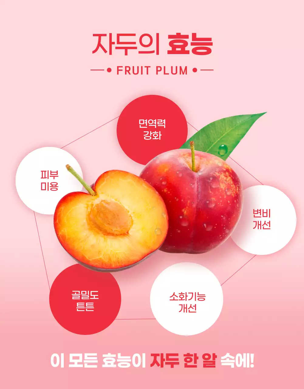 빨강 키치 과일 광고