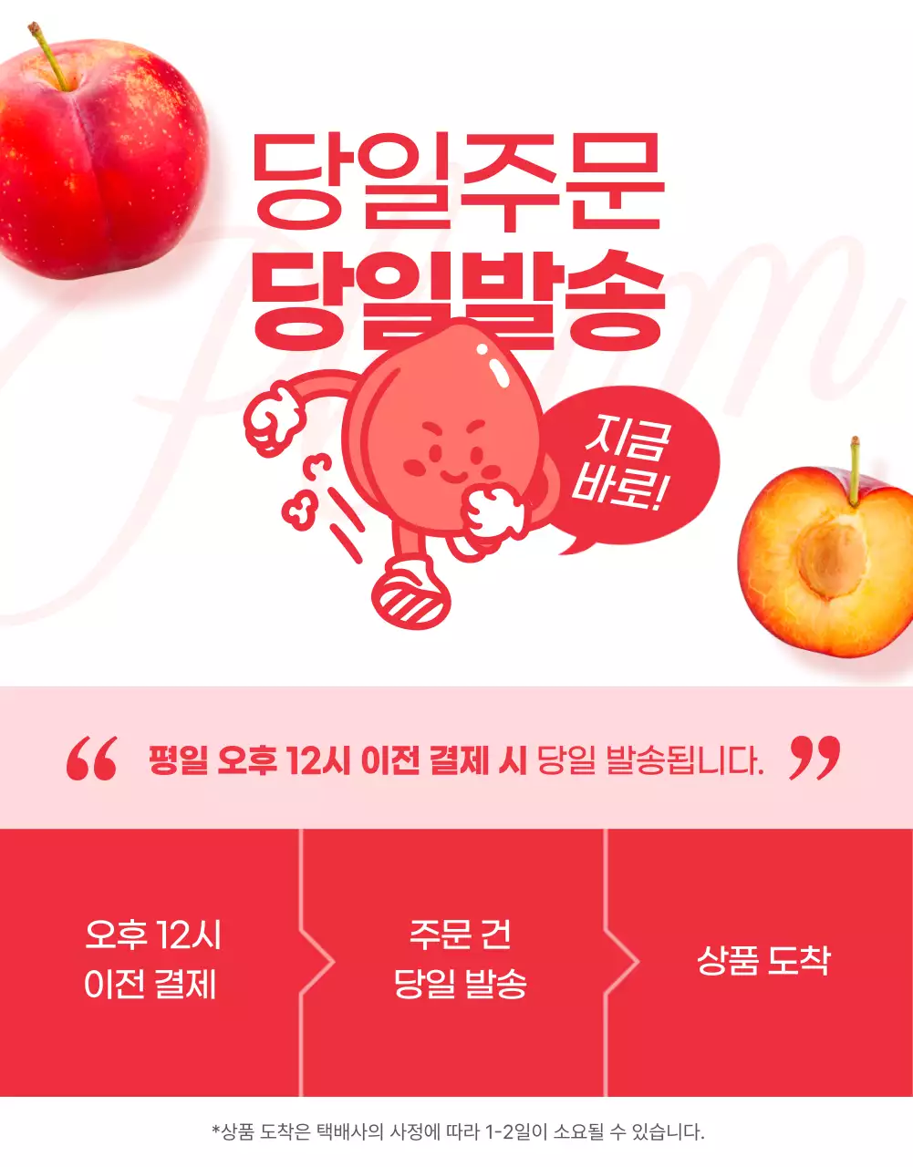 빨강 키치 과일 광고