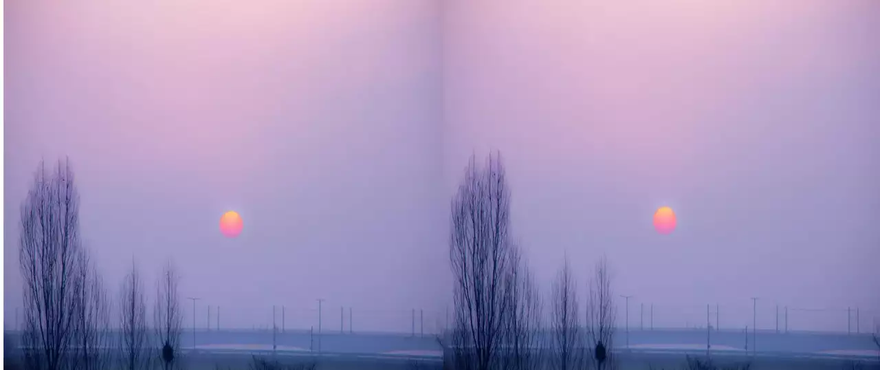 연보라 심플 자연 포스터