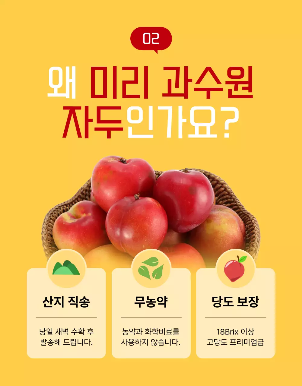 노랑 팝 과일 광고