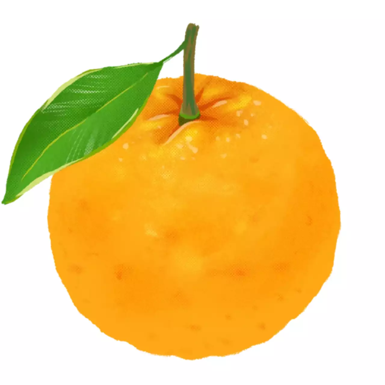 주황 심플 과일 스티커