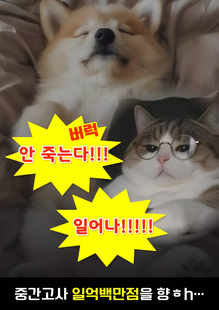 노랑 개그 시험 응원