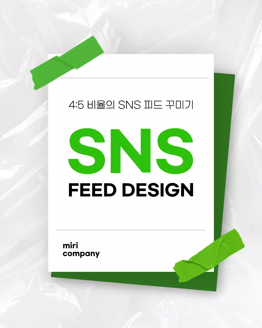 초록 모던 소셜미디어 기획