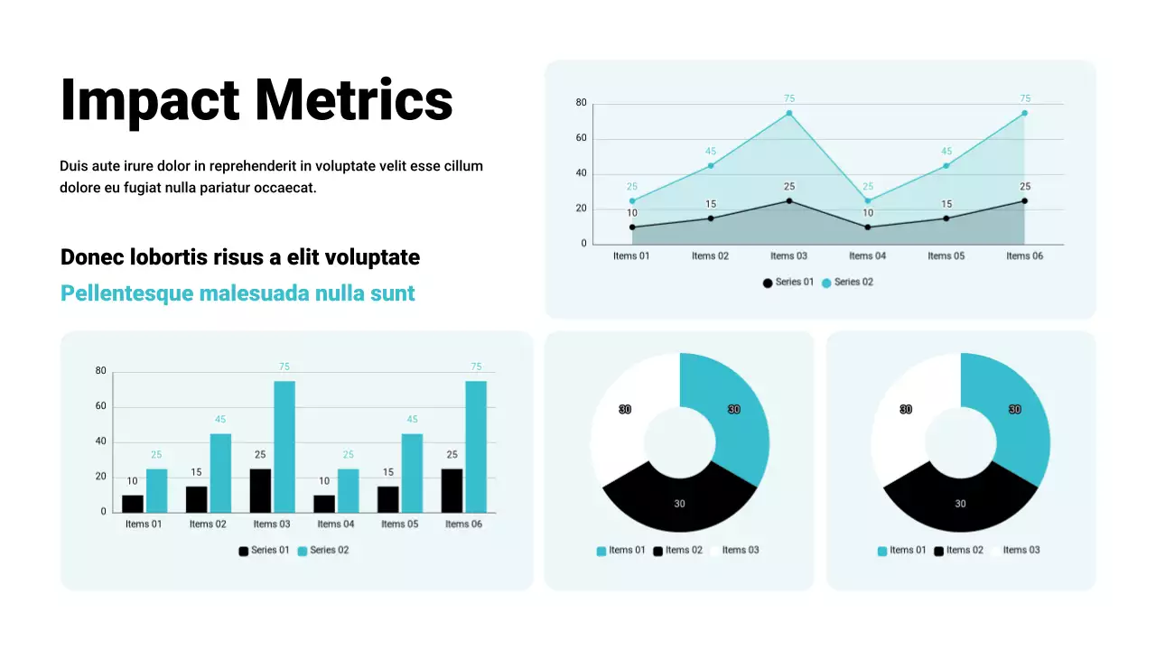 White Simple Non-Profit Organization Pitch Presentation