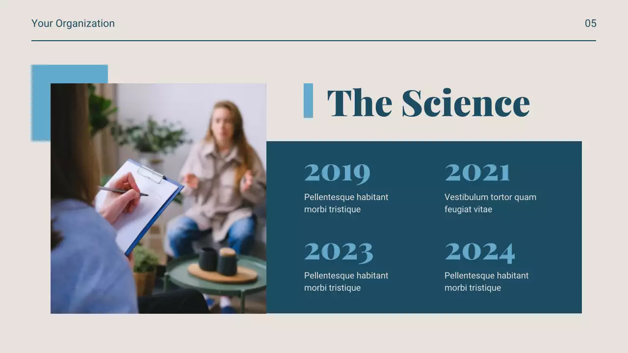 Navy Professional Mental Health Guide Presentation