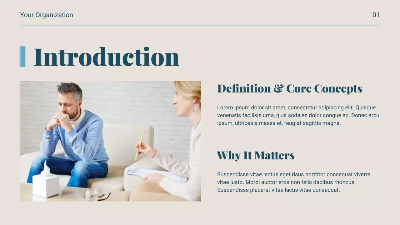 Navy Professional Mental Health Guide Presentation