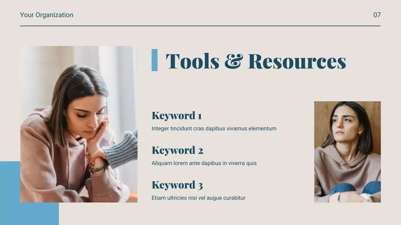 Navy Professional Mental Health Guide Presentation