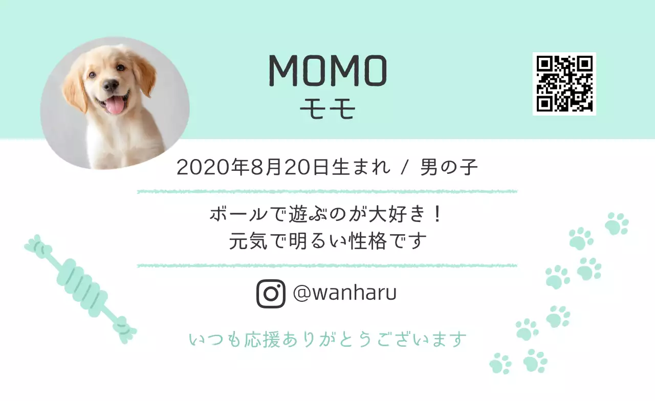 ミント かわいい ペット 名刺 動物の写真