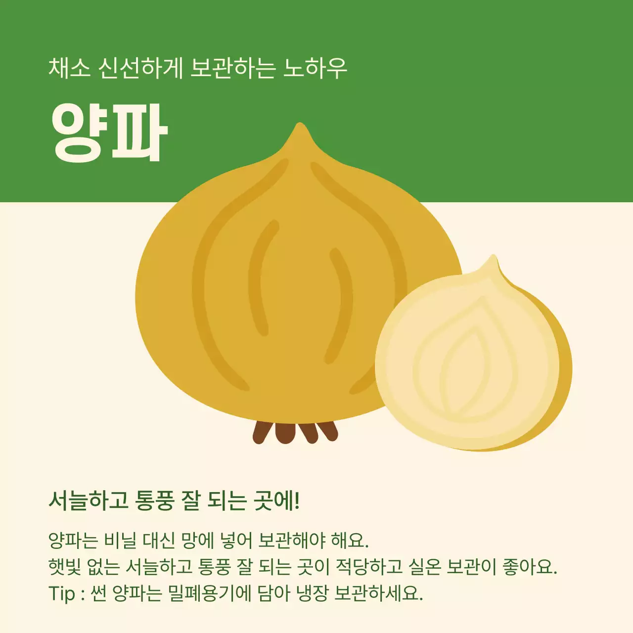 초록 심플 식품 보관 관리 방법