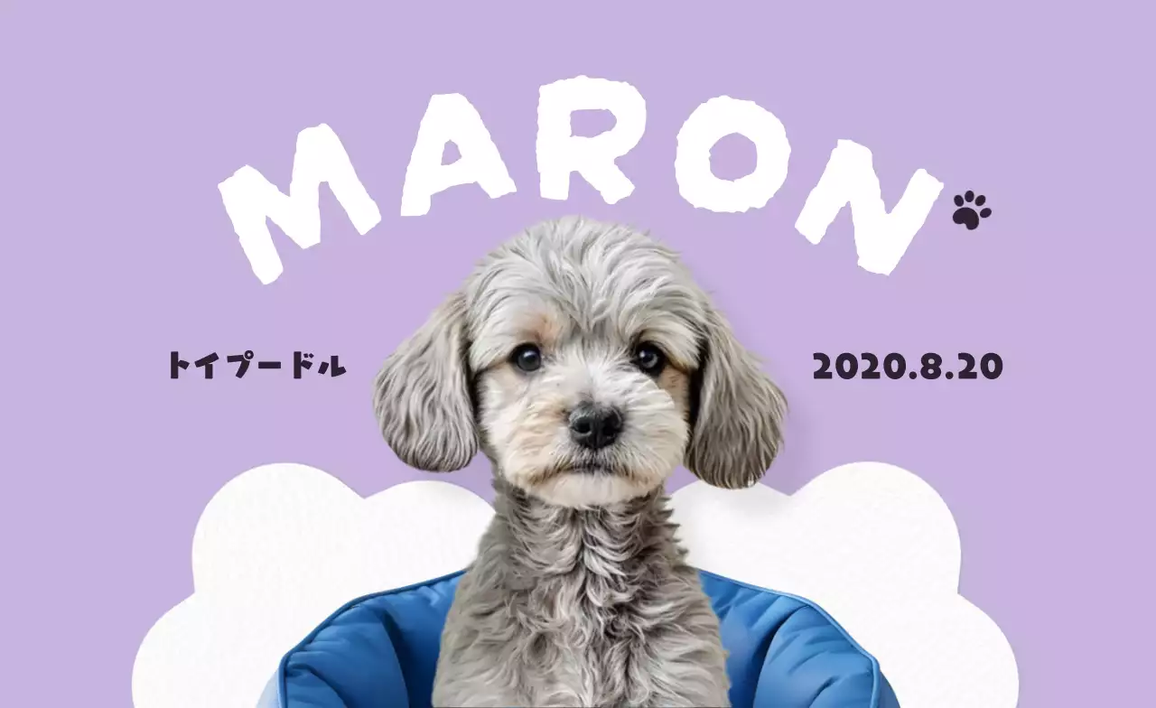 ラベンダー かわいい ペット プロフィール 動物の写真