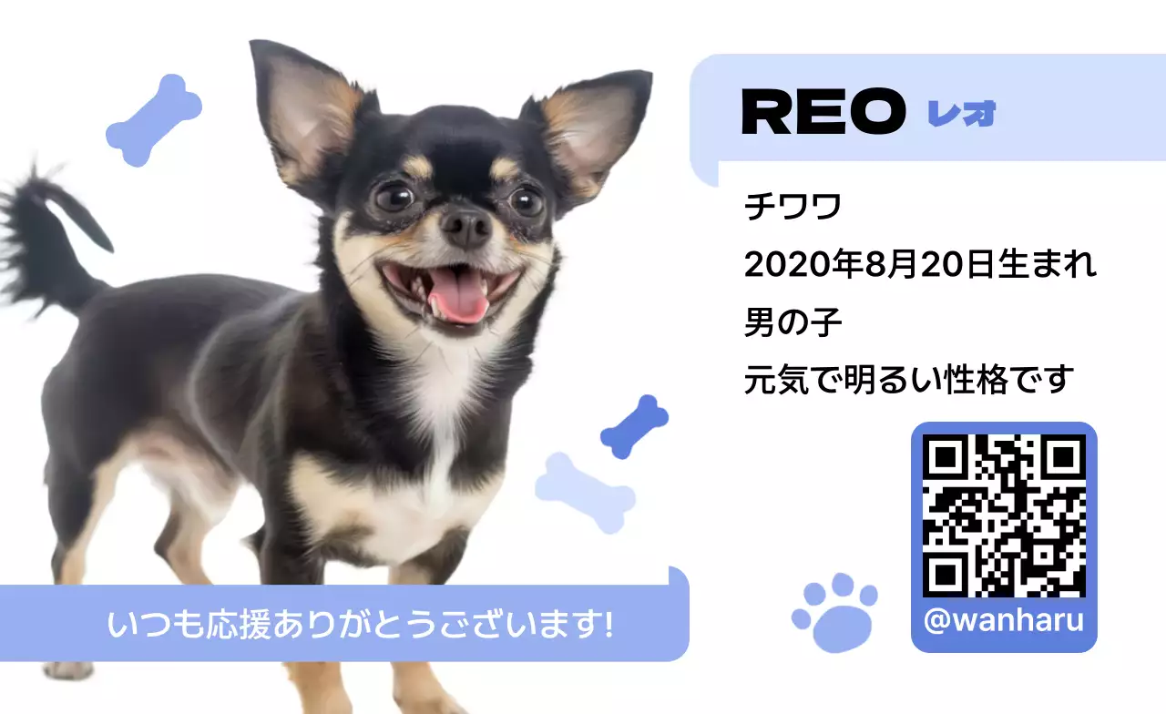 青 かわいい 動物の写真