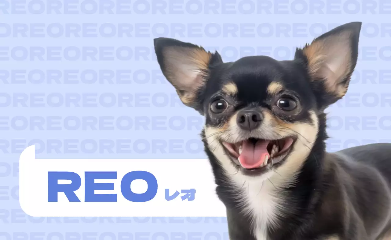 青 かわいい 動物の写真