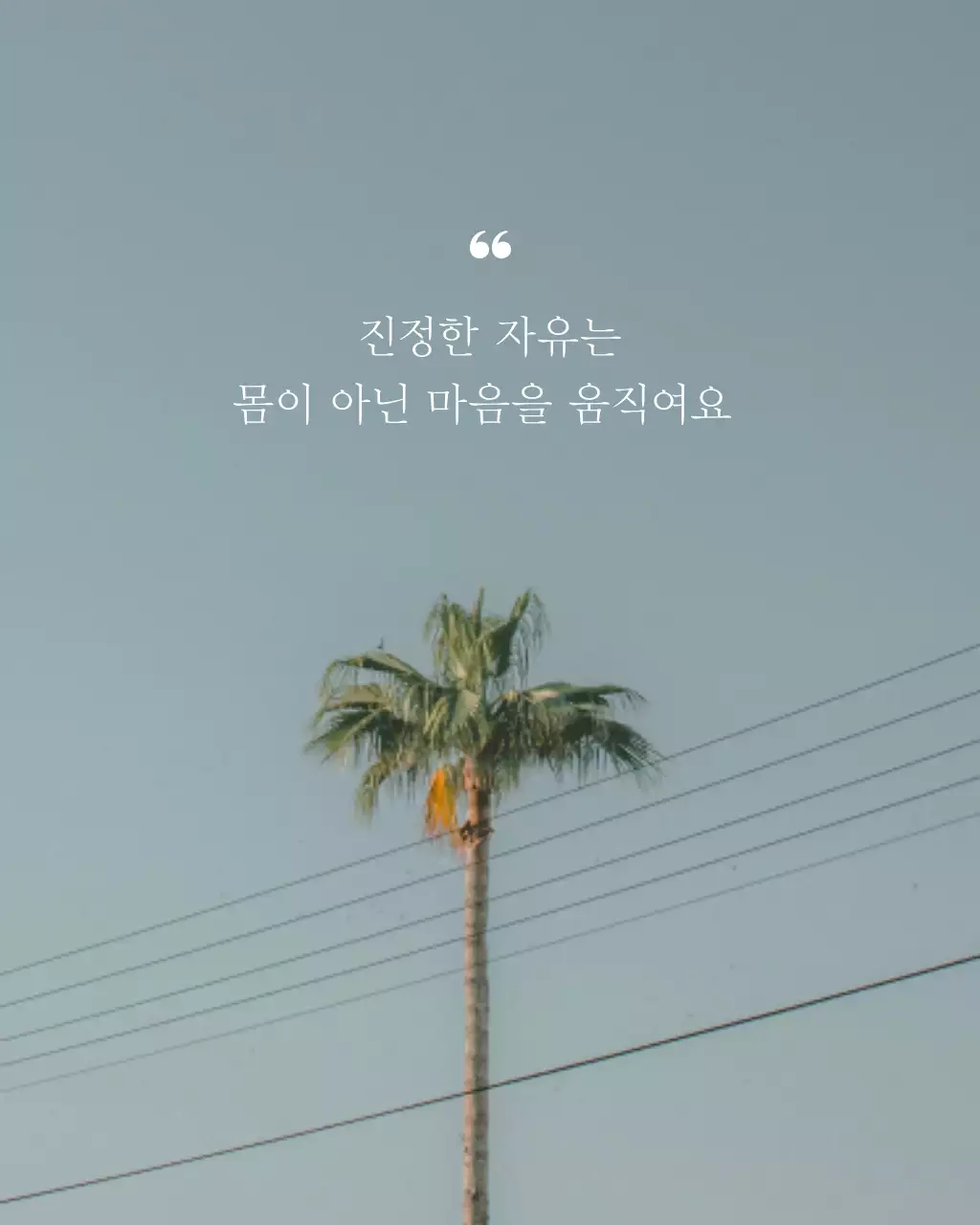 하늘색과 흰색의 심플한 자유 문구 홍보