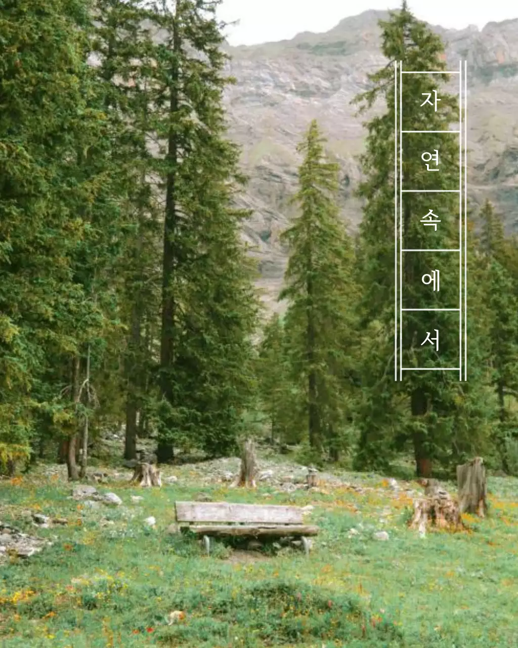 연두색와 흰색의 심플한 자연 캠핑 휴가 게시글