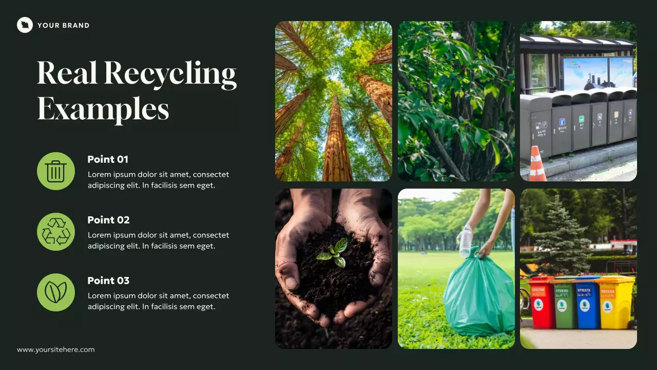 Green Natural Modern Introduction to Ecology Presentation