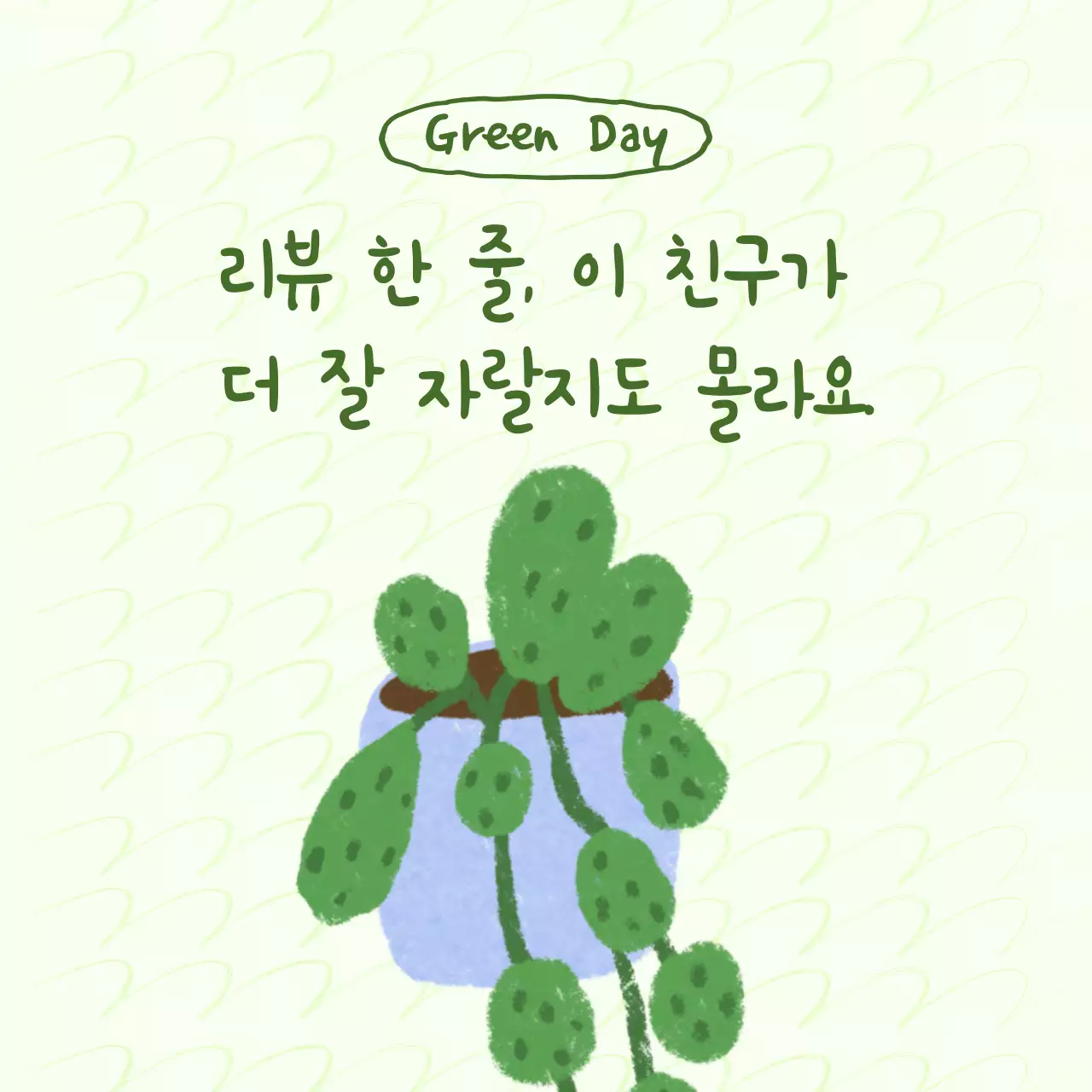 연두 아기자기한 식물 리뷰 이벤트
